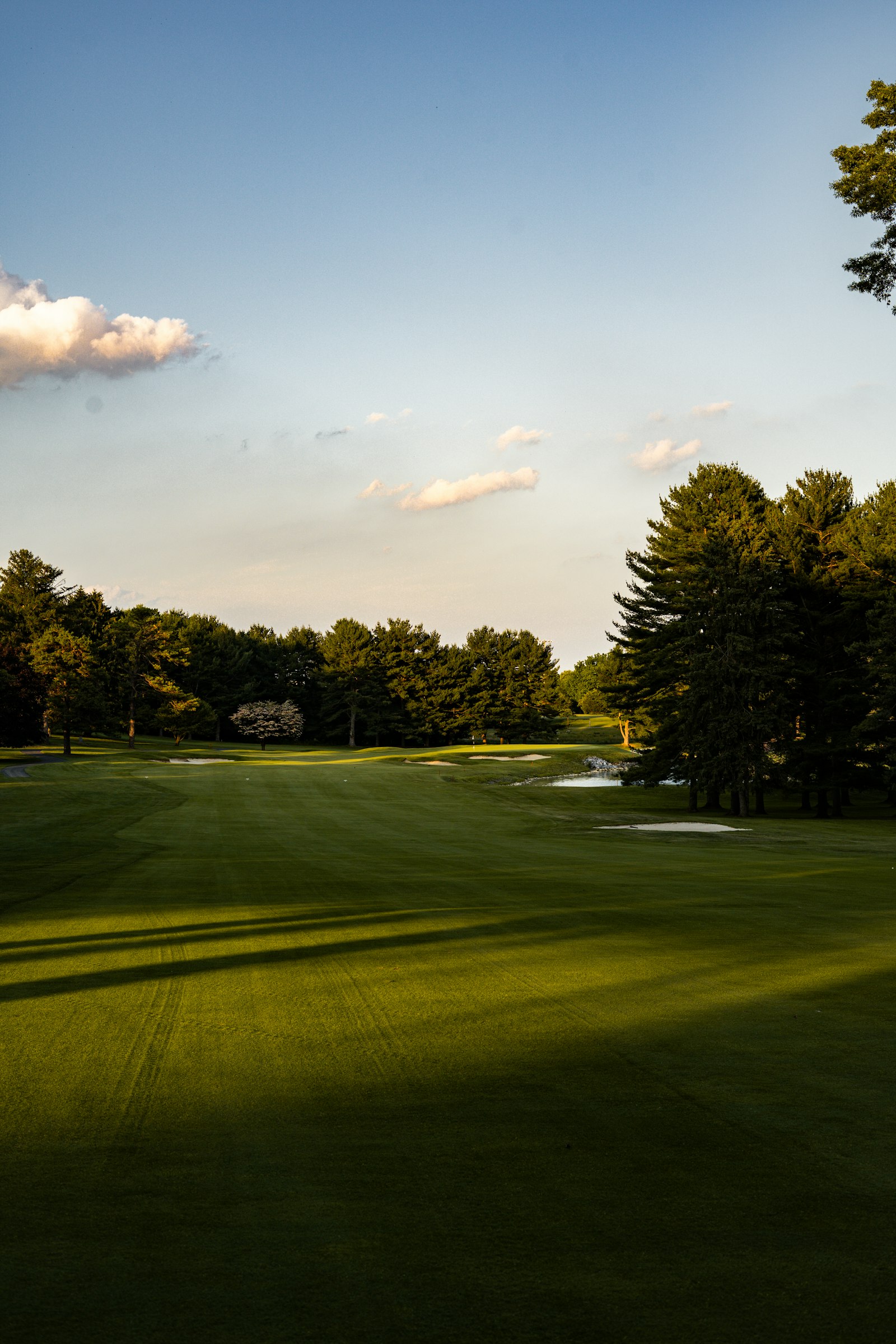 View of a championship golf course green and fairway