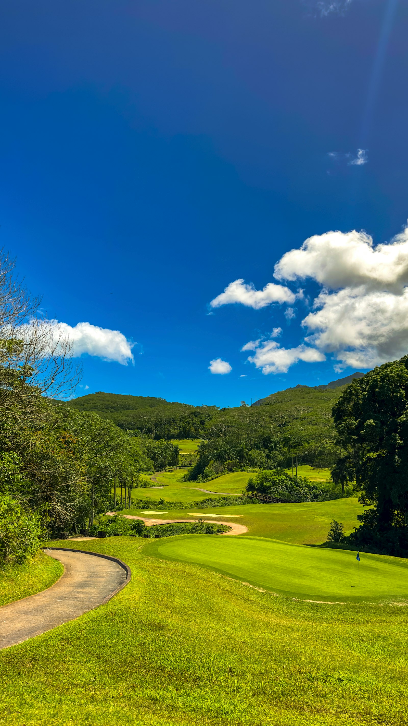 Scenic view of a green golf course landscape
